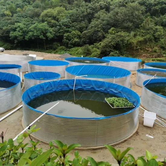 Réservoir de pisciculture de bâche bleue en PVC pliable en plastique de gros