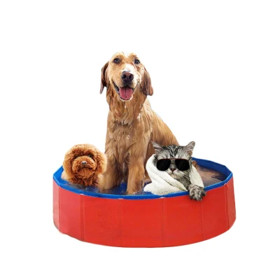 Piscine de bain pour animaux de compagnie drôle d'été cool, piscine pliable pour animaux de compagnie, grande piscine gonflable pliable en PVC pour chien